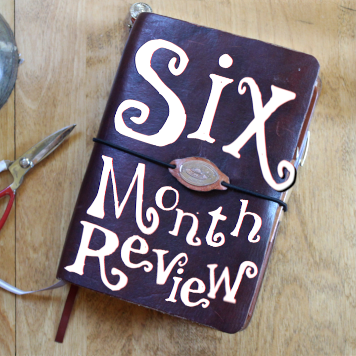 Six Month TN Review & July Plan With Me