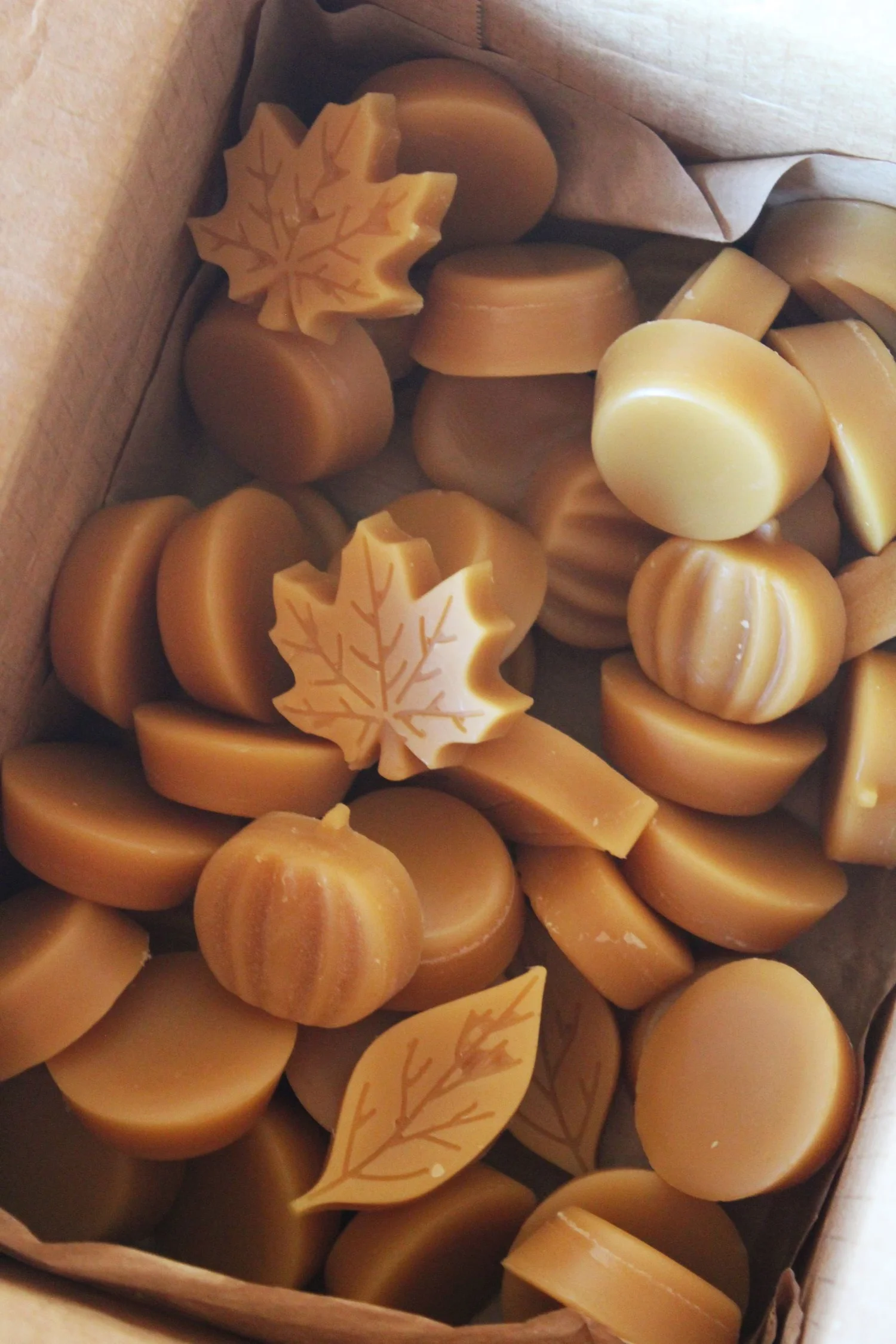 Beeswax Pucks