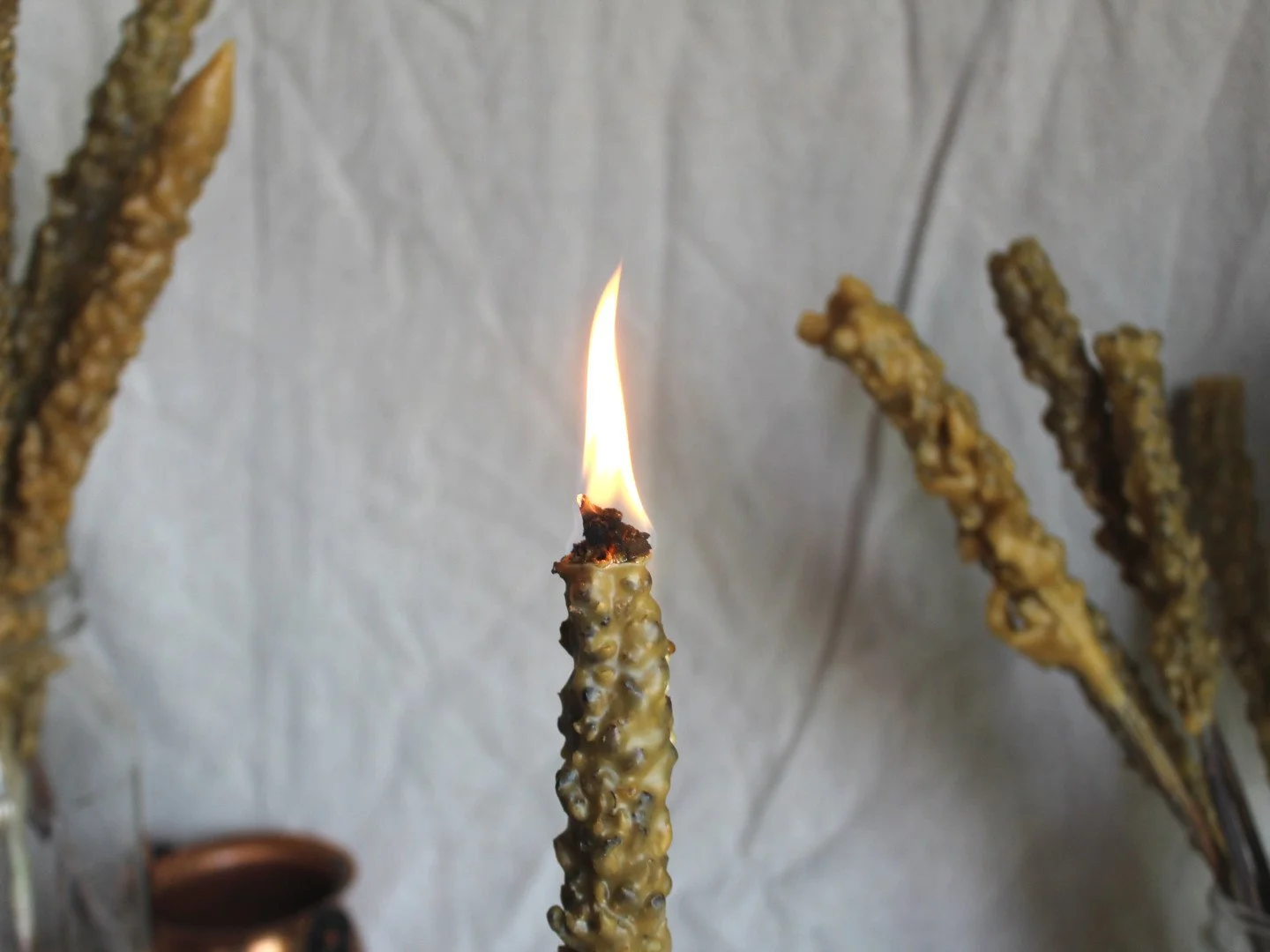 Mullein Hag Torch - Witches Candle