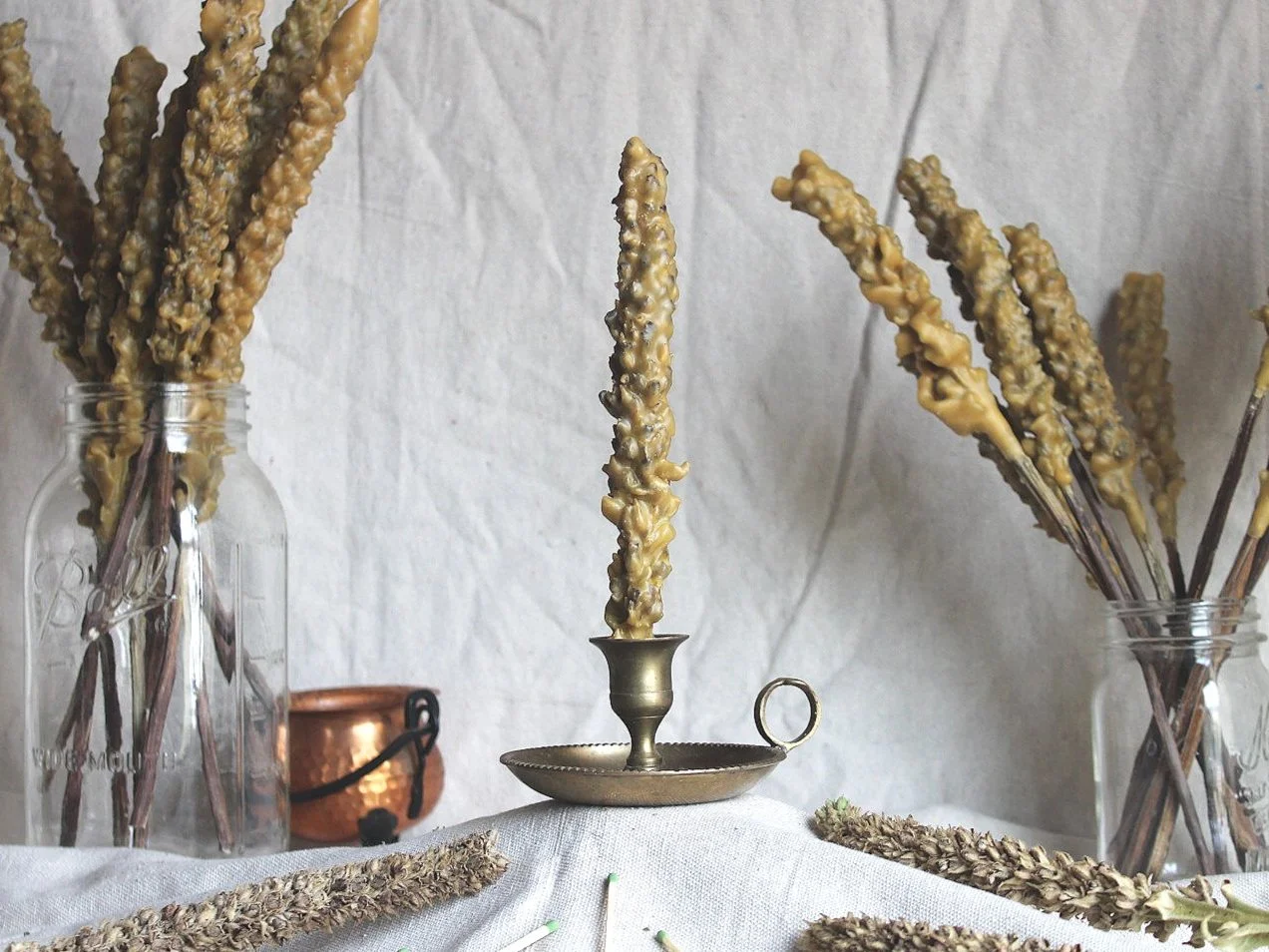 Mullein Hag Torch - Witches Candle